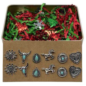 Western Earrings in Christmas Gift Box for Women and Girls - Cowgirl Earring